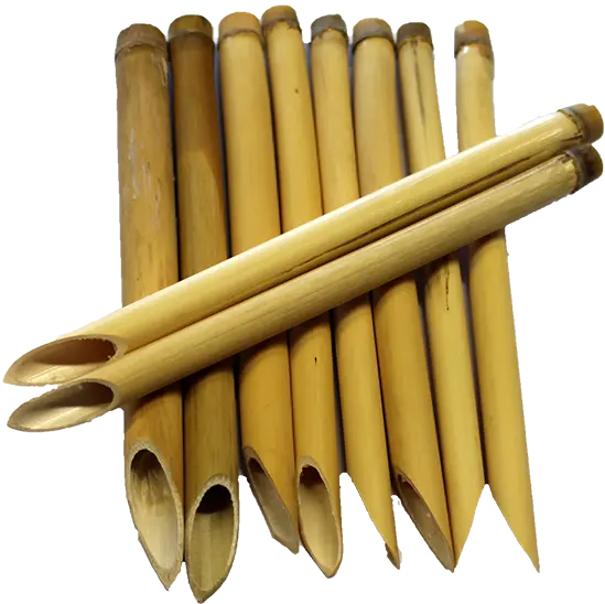 10 Schreibrohre / Calamus
