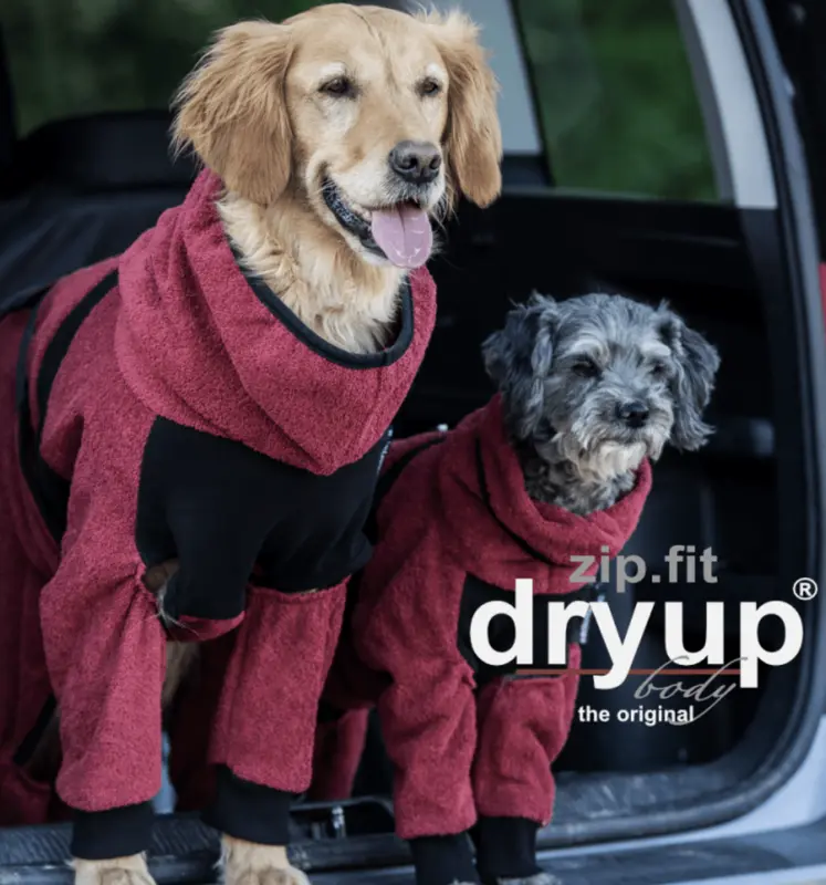 actionfactory Dryup body zip.fit bordeaux