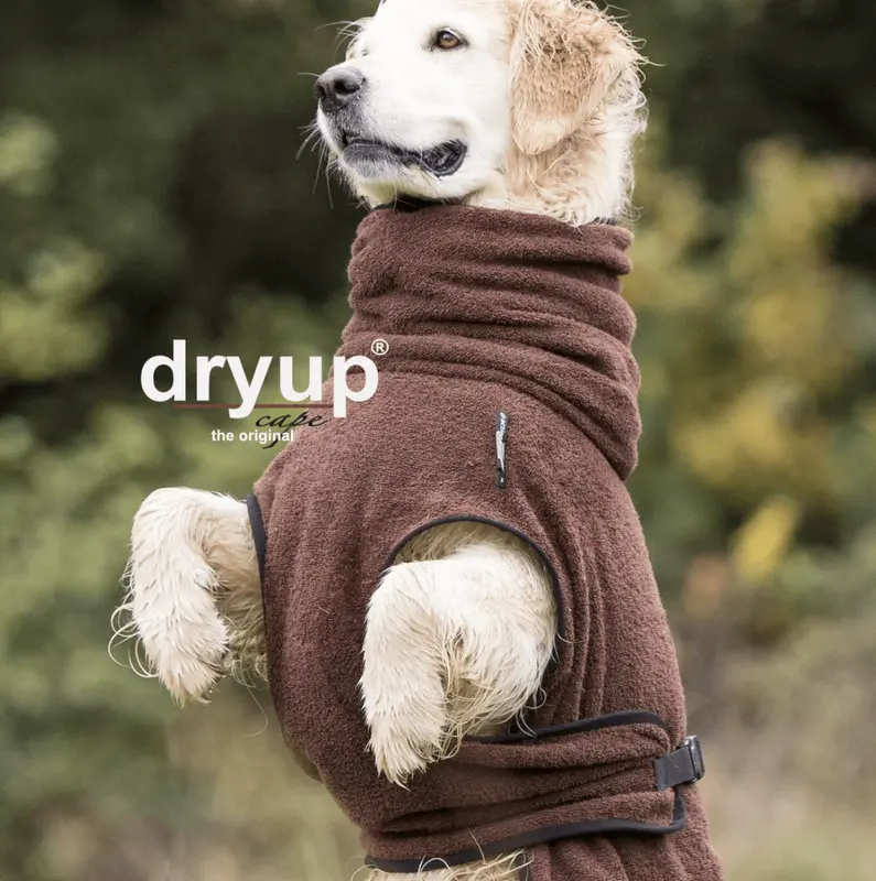 actionfactory Dryup cape braun