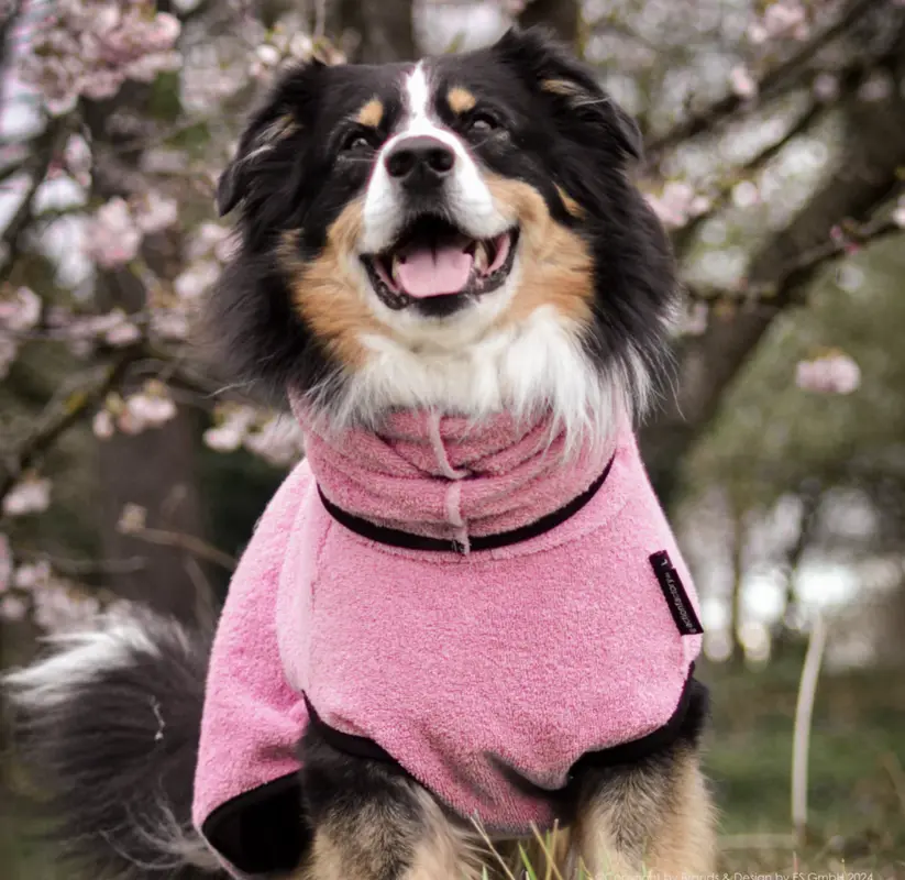 actionfactory Dryup cape rosé