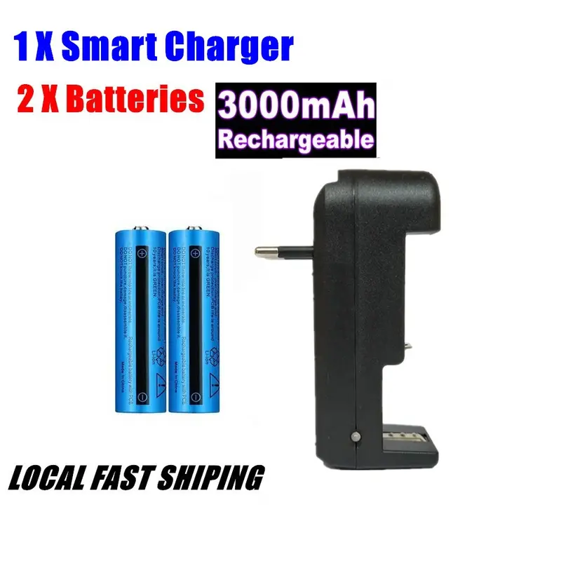 Akku-Ladegerät mit 2 Li-Ion Akkus 3.7V 3000mAh