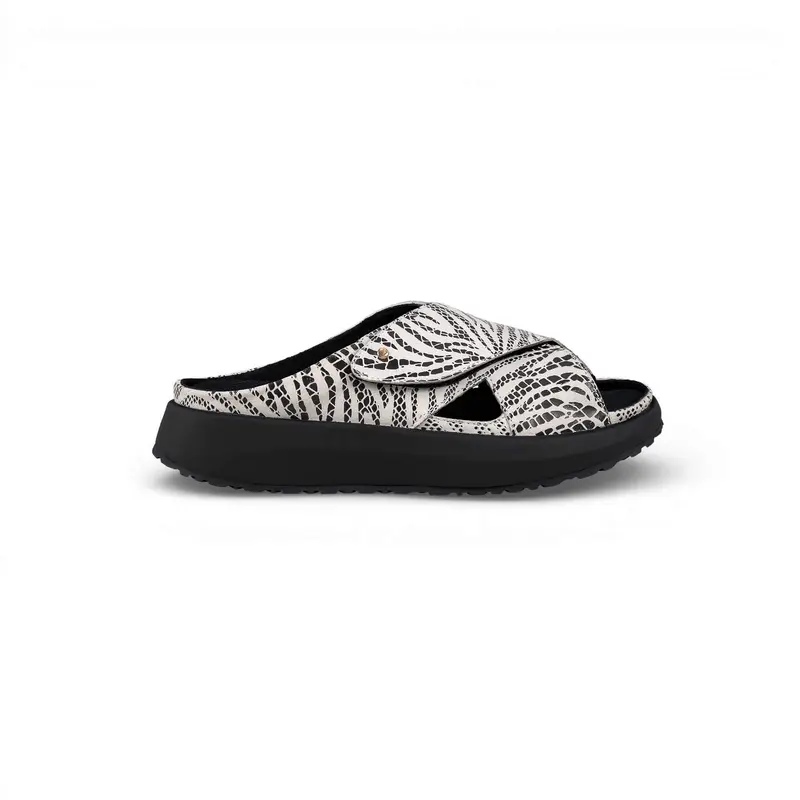 Alicante black-white