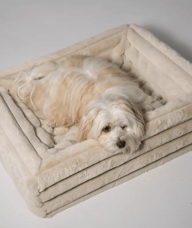 ammi for dogs® Kuschelbezug Hunde beige