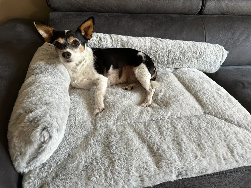 ammi for dogs® Kuschelwurst Hermelin grau