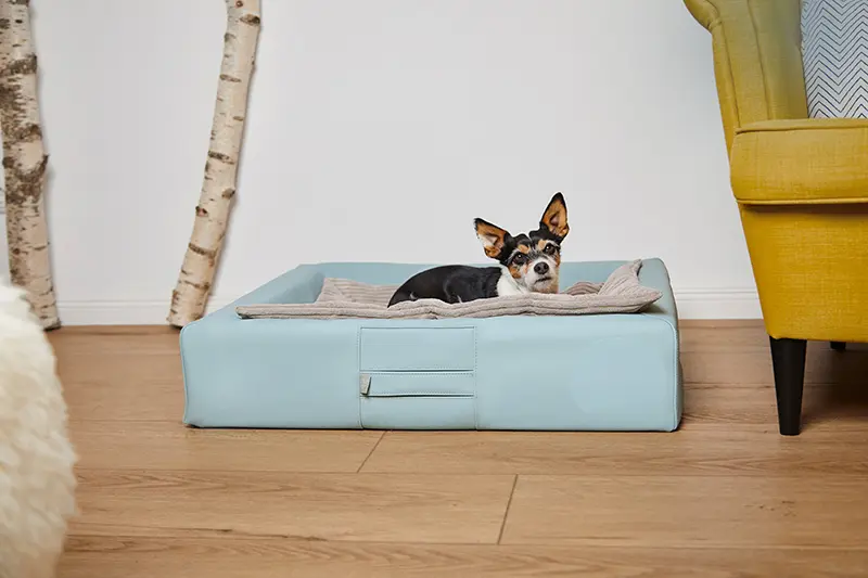 ammi for dogs® orthopädisches Hundebett ammi®Bed soft mint