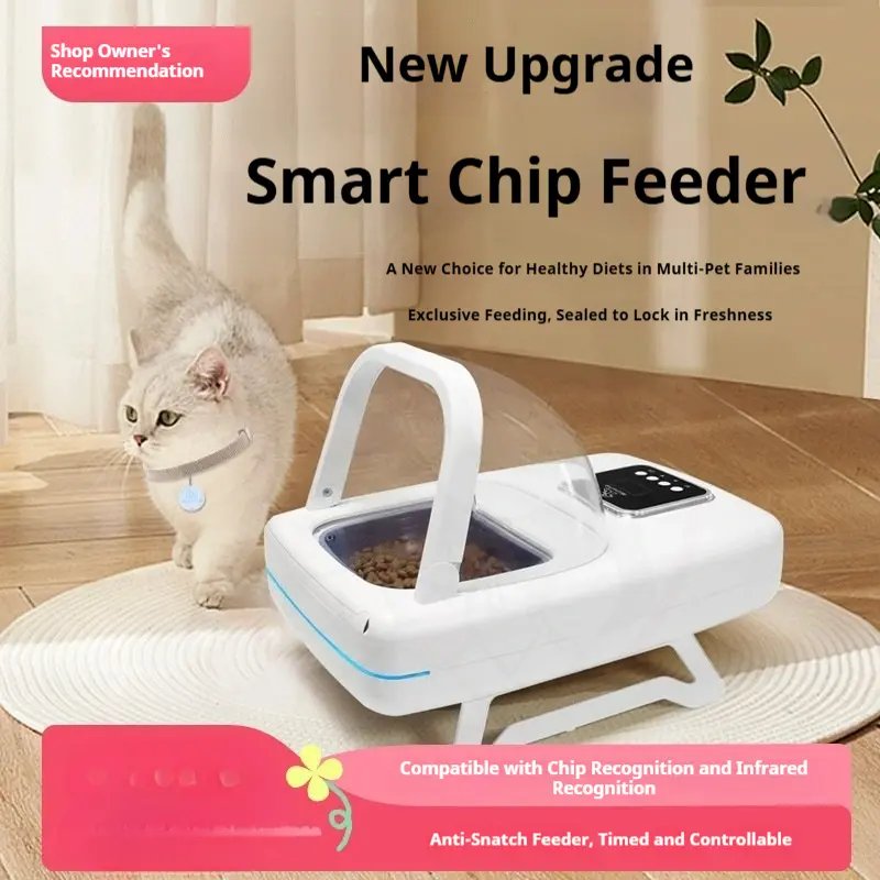 Automatischer Futterspender für Katzen