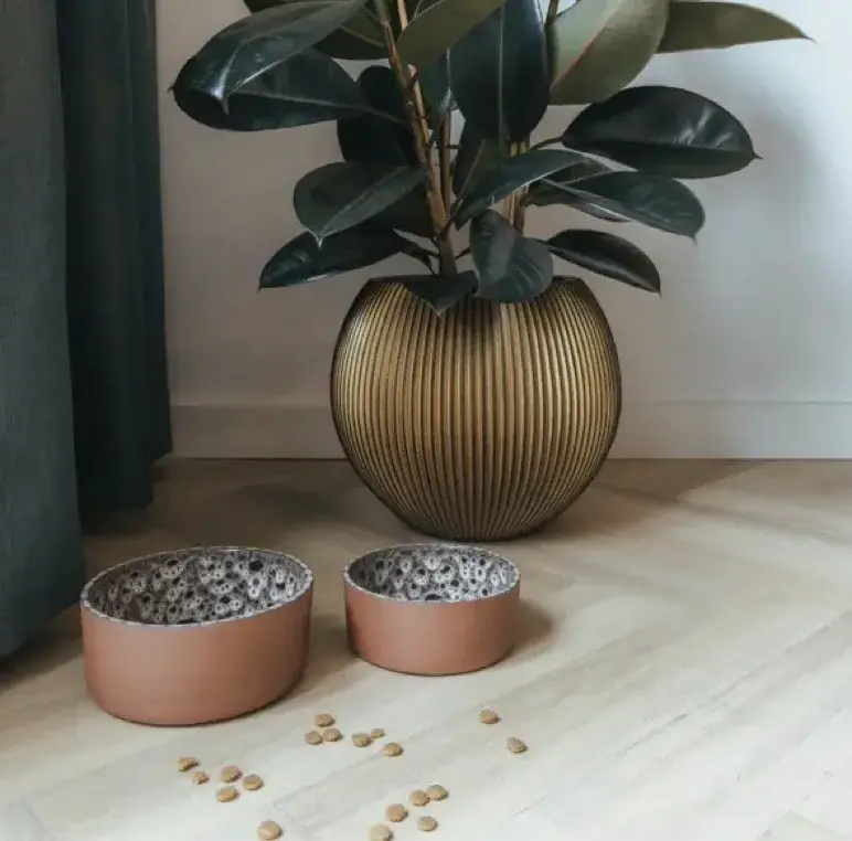 AVA bowls Hundenapf «Jag»