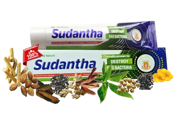 Ayurvedische Sudantha Zahnpasta