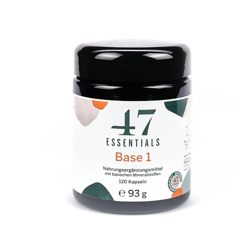 Base 1