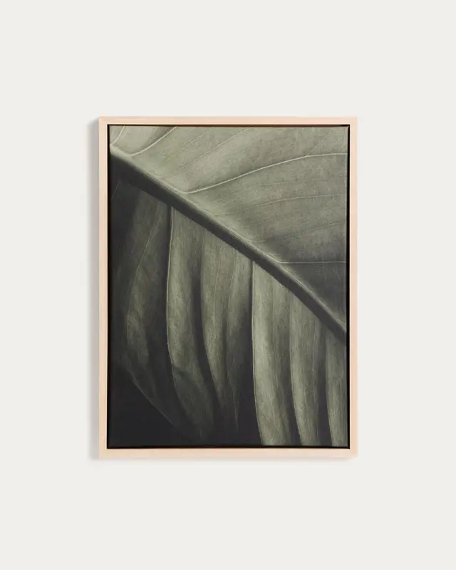 Bild Foliae – Fotografie eines Blatts, 32,5 x 42,5 cm