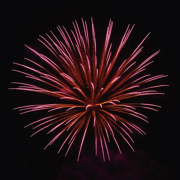 Das Feuerwerk