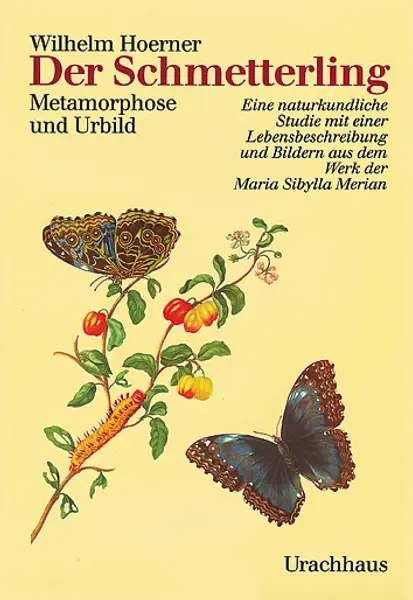 Der Schmetterling