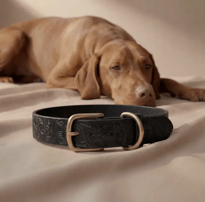Doggy with Style Lederhalsband Floralis "Schwarz"