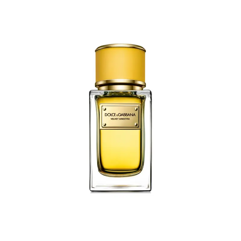 Dolce and Gabbana Velvet Ginestra Eau de Parfum 50 ml