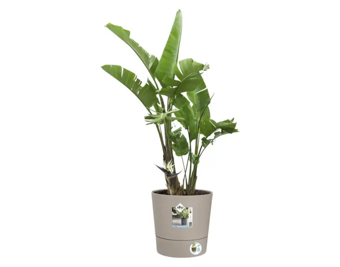 ELHO Pflanzengefäss Foss ø 43 cm pilzbeige