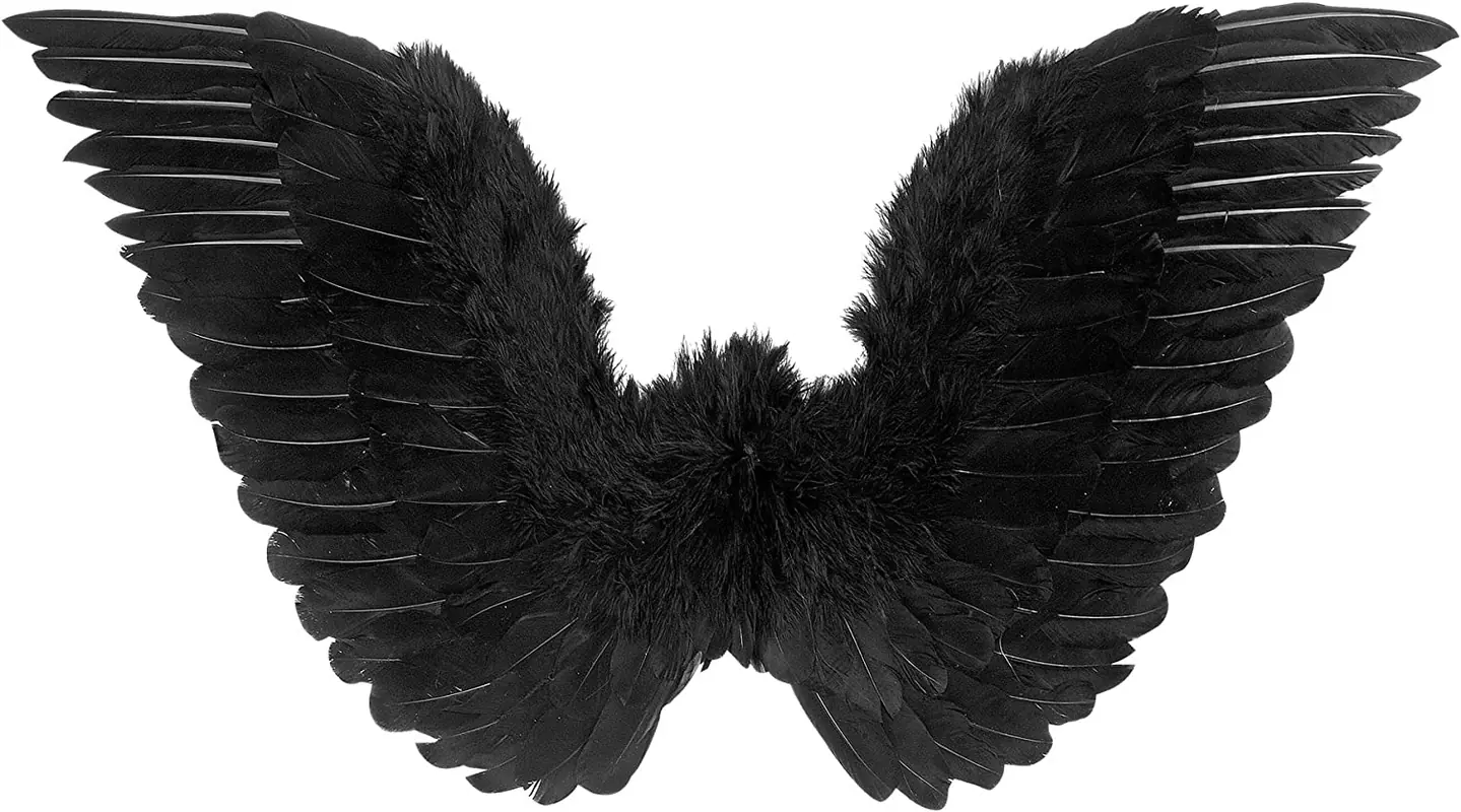 Engelsflügel schwarz 86x31 cm