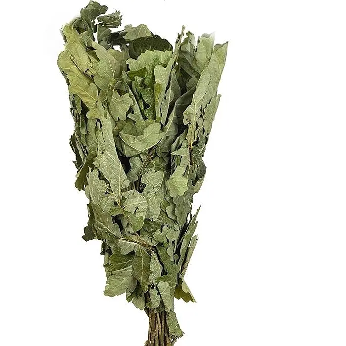 Finnischer Eichen-Quast "Vihta"