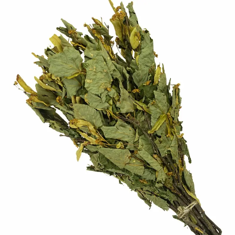 Finnischer Lindenblüten-Quast "Vihta"