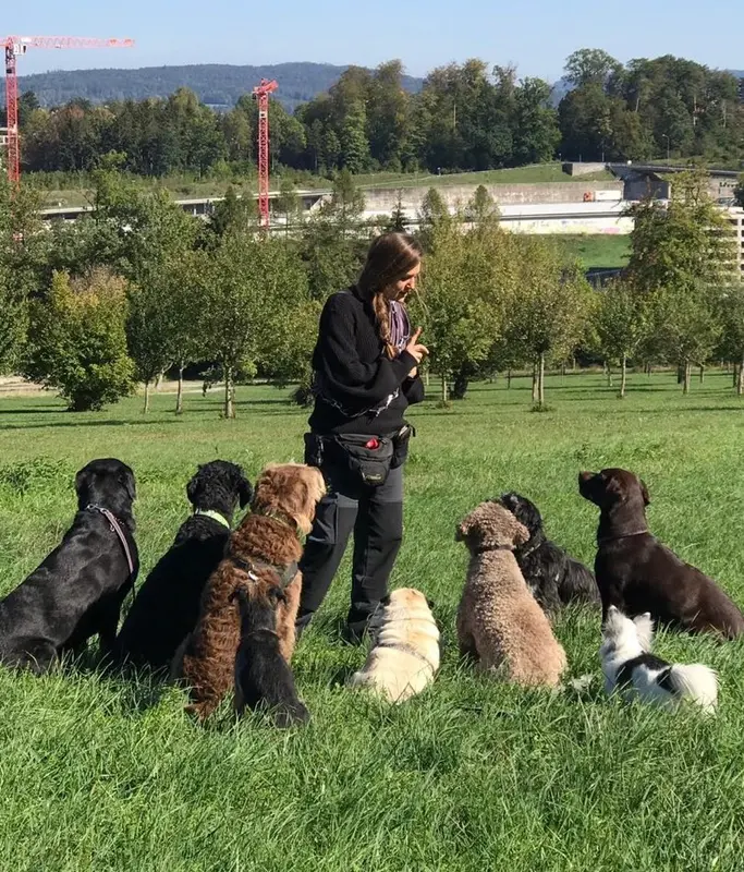 Für deinen Hund