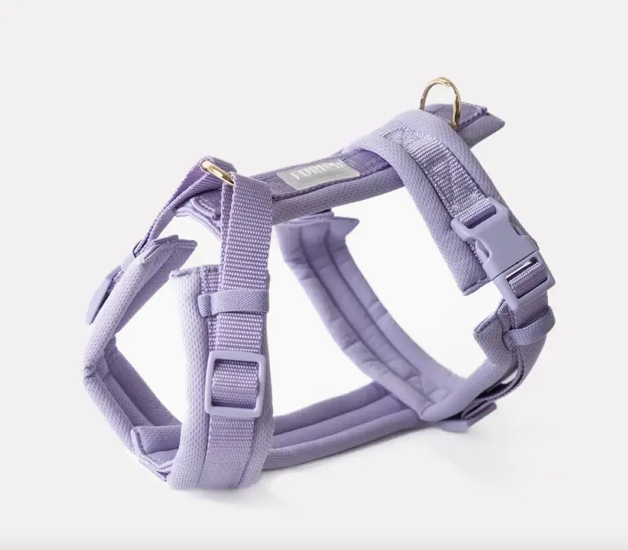 Furlou Y-Hundegeschirr "lavendel"
