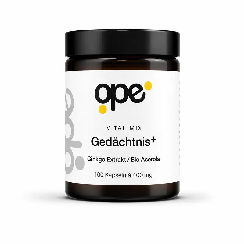 Gedächtnis+