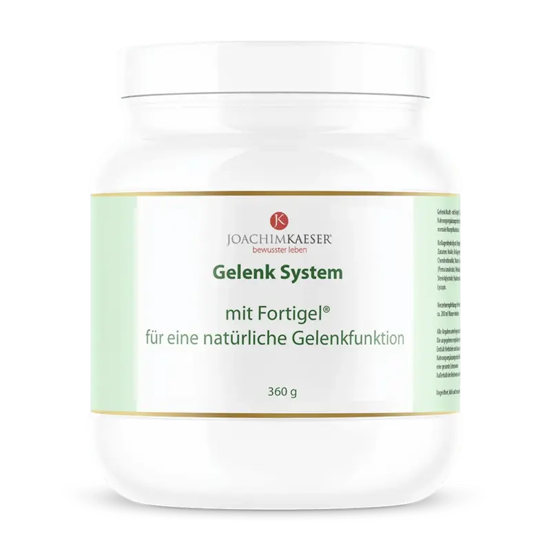 Gelenk System - Mit Fortigel®️, Glucosamin, Chontroitin, MSM