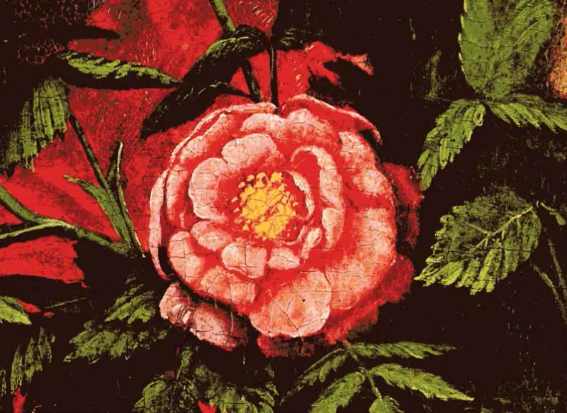 Grünewaldrose