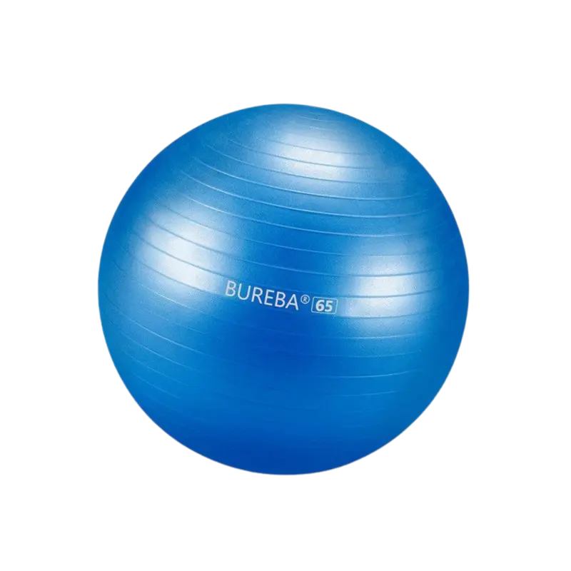 Gymnastik Ball BuReBa Professional 65cm Blau