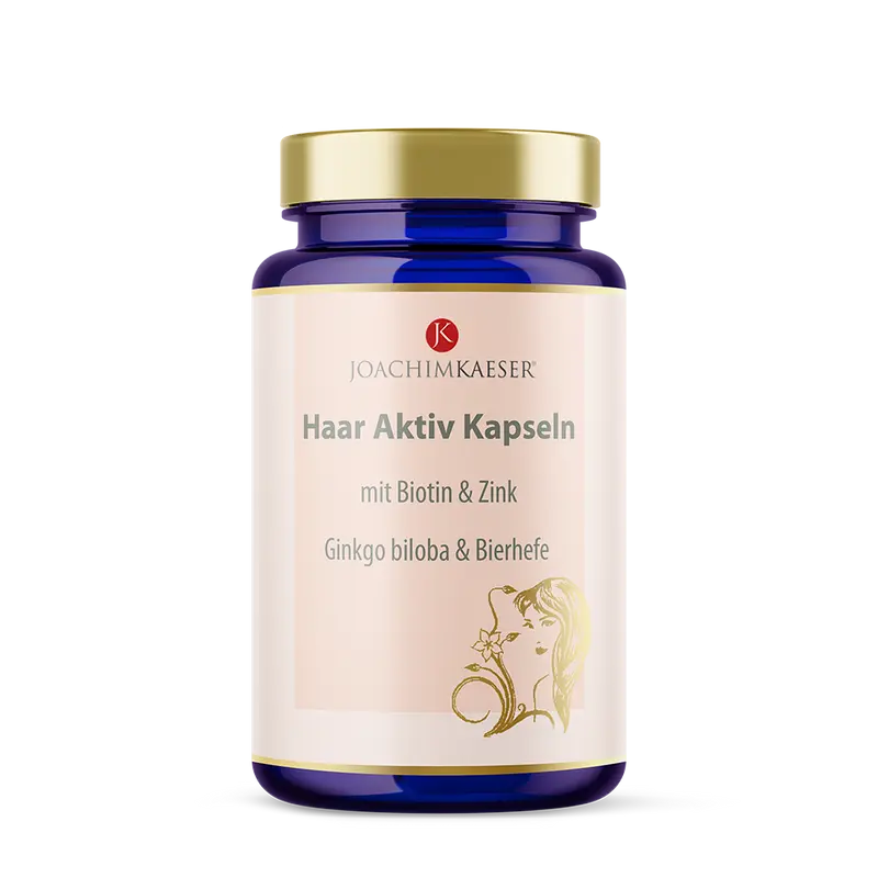 Haar Aktiv - mit Biotin, Zink, Ginkgo biloba & Bierhefe