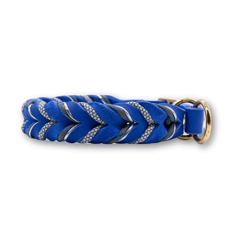 HealthyDog Hundehalsband «DANILO» reflektierend