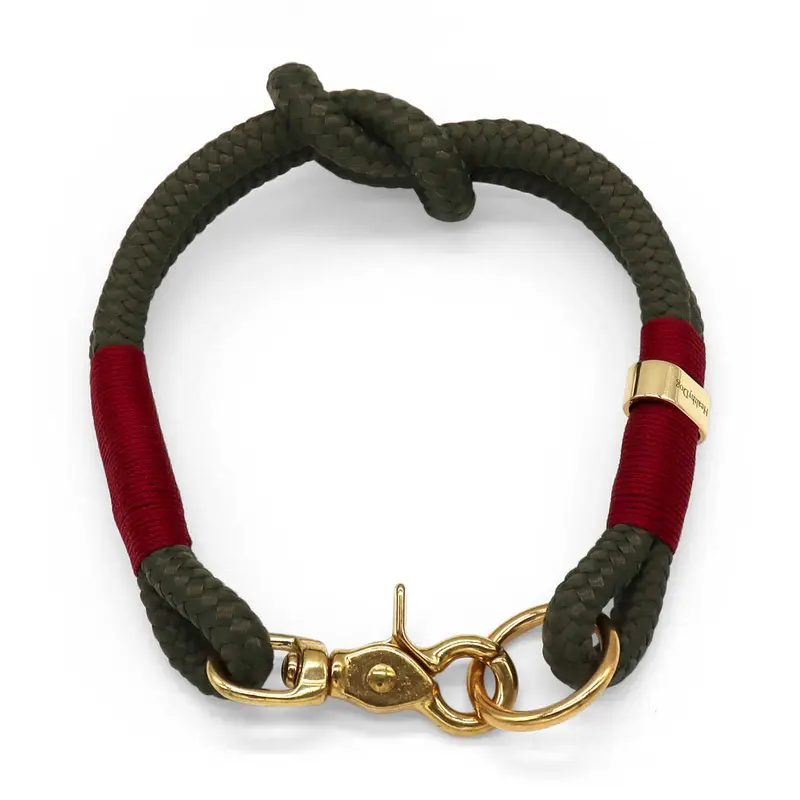 HealthyDog Hundehalsband «DESTINY»