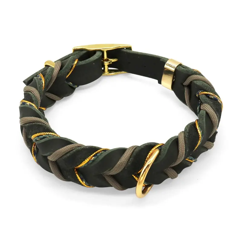 HealthyDog Hundehalsband «DJANGO»