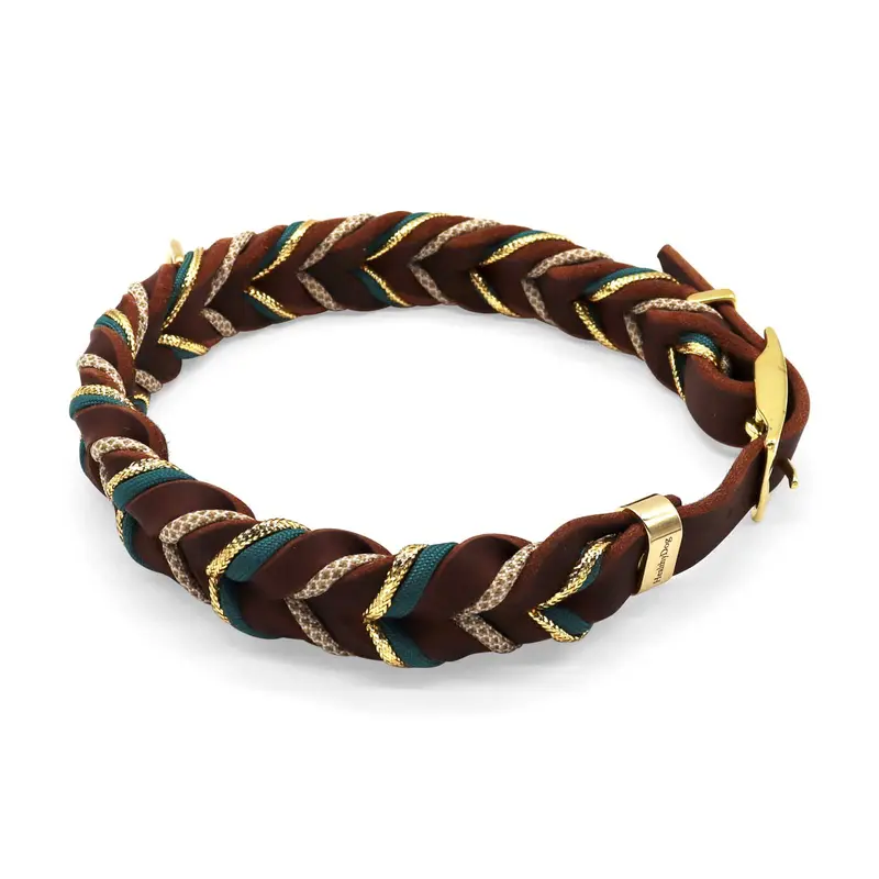 HealthyDog Hundehalsband «JAY»