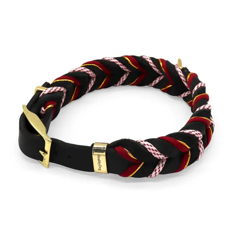 HealthyDog Hundehalsband «JESCHINA»