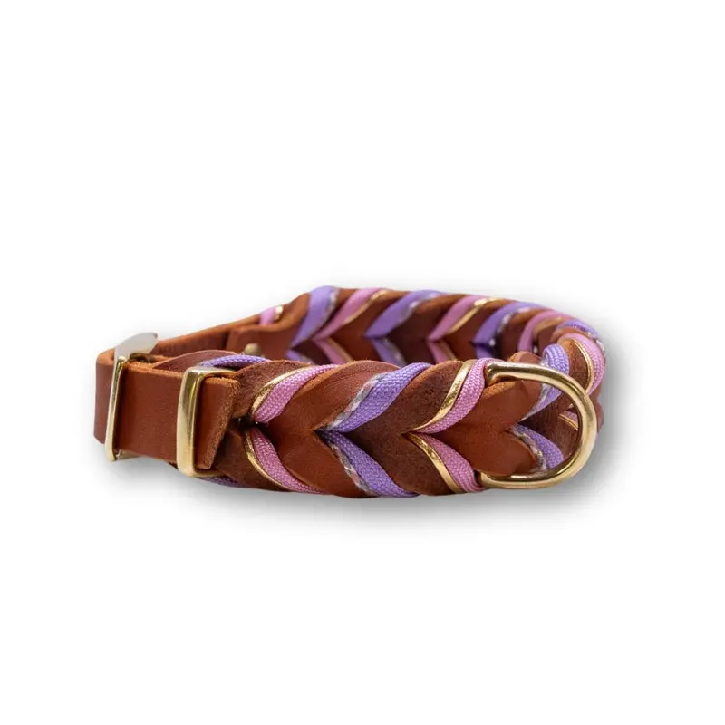 HealthyDog Hundehalsband «PABBLES»