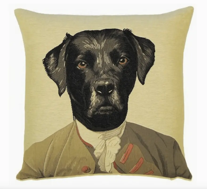 HealthyDog Hundekissenbezug "Henry"