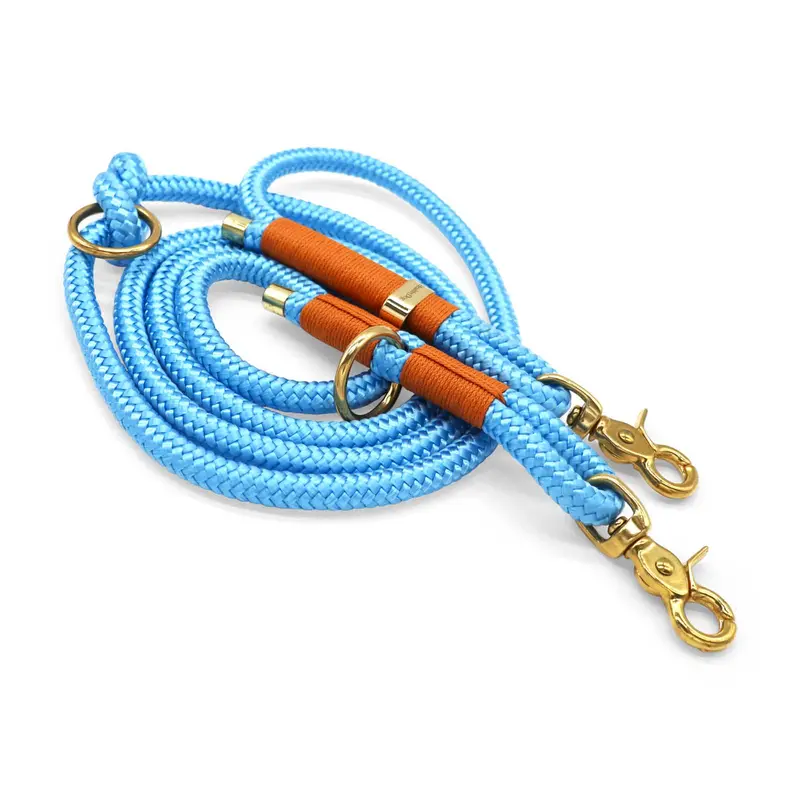 HealthyDog Hundeleine «BALU»