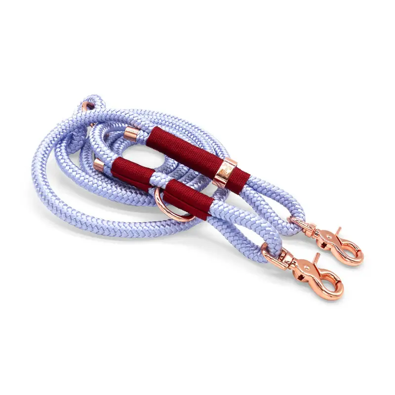 HealthyDog Hundeleine «BOOGIE»