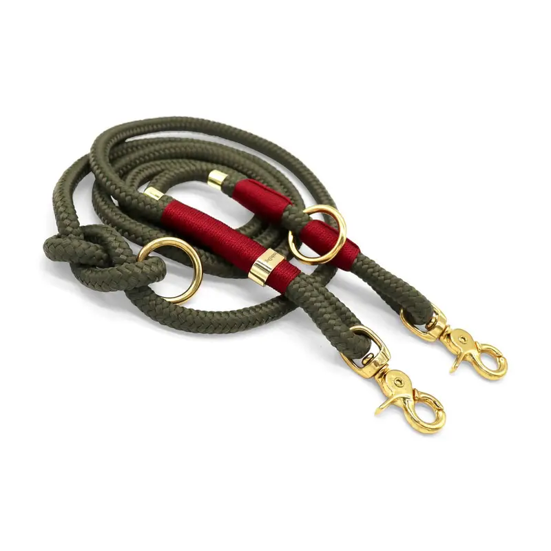 HealthyDog Hundeleine «DESTINY»