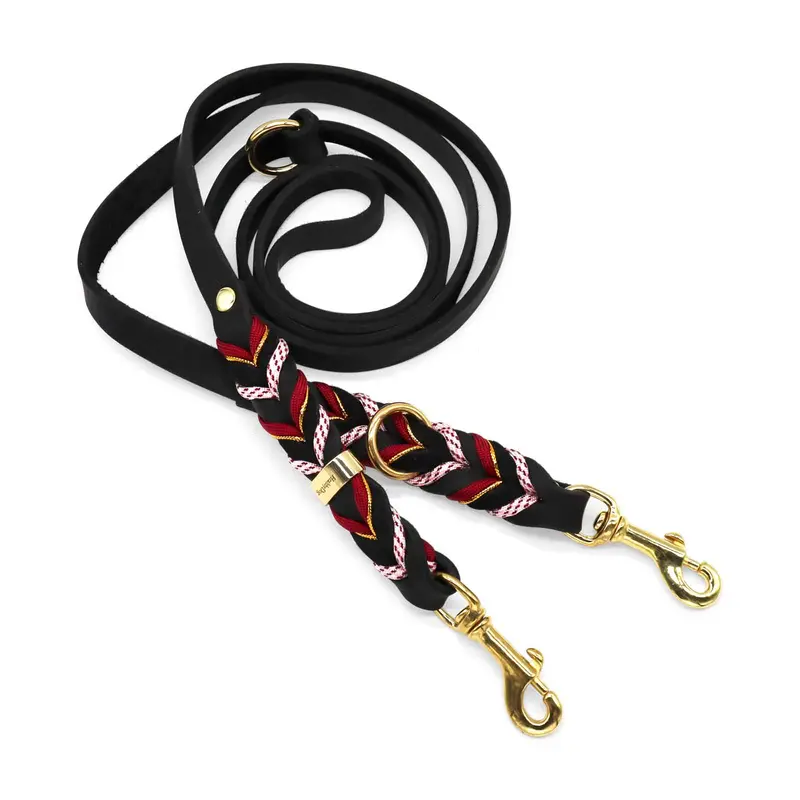 HealthyDog Hundeleine «JESCHINA»