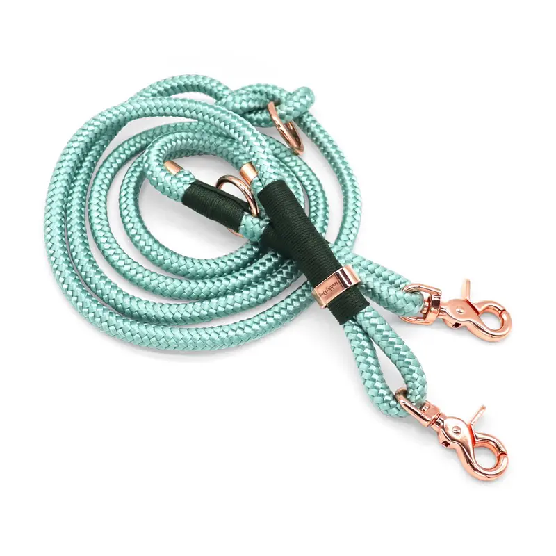 HealthyDog Hundeleine «SORAYA»
