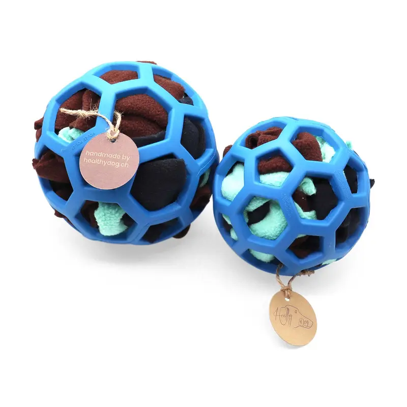 HealthyDog Wunderball blau