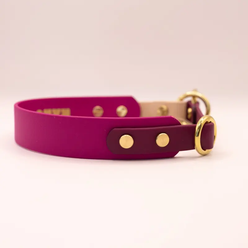 HealthyDog x KAHU Zugstopp Halsband Biothane "berry"