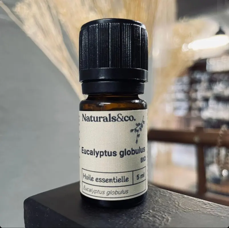 Huile essentielle Eucalyptus globulus Bio par Naturals&co