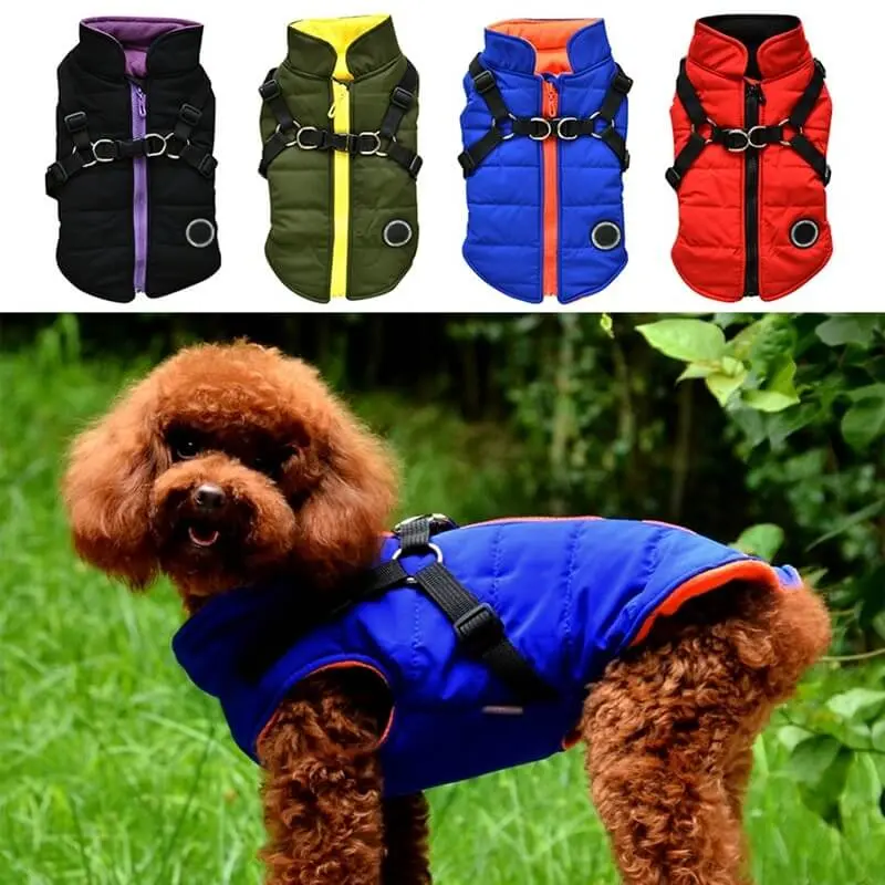 Hunde-Reissverschlussjacke mit integriertem Geschirr