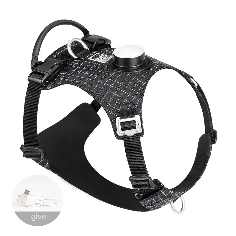 Hundegurt mit LED-Nachtlicht