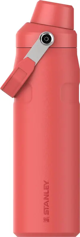 IceFlow Fast Flow Flasche 0.7l hot coral