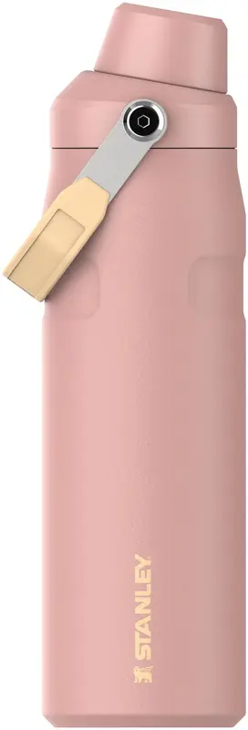 IceFlow Fast Flow Flasche 0.7l peach rose