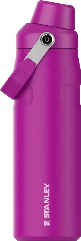 IceFlow Fast Flow Flasche 0.7l violet blossom