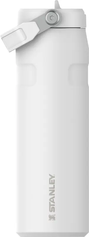 IceFlow Flip Straw Flasche 0.7l frost